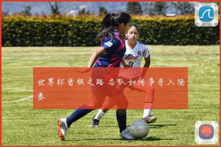 世界杯晋级之路 各队如何争夺入场券
