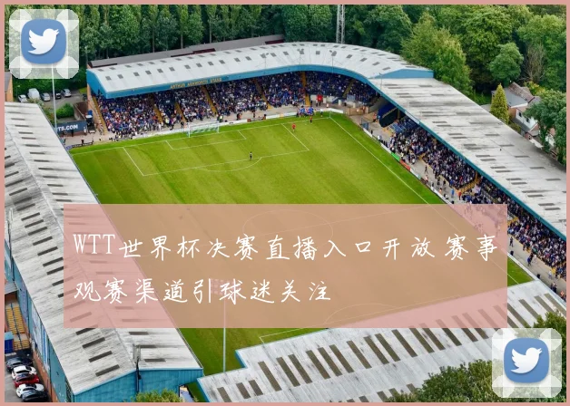 WTT世界杯决赛直播入口开放 赛事观赛渠道引球迷关注