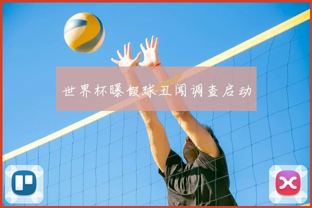 世界杯曝假球丑闻调查启动