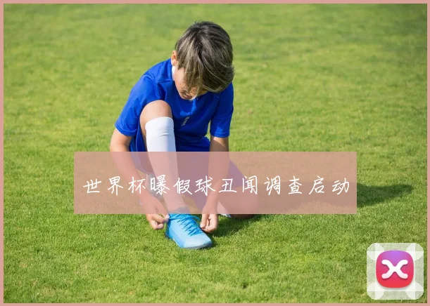 世界杯曝假球丑闻调查启动
