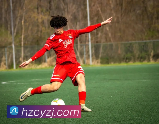 世界杯平台官网登录平台生态图