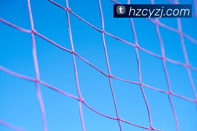 世界杯平台官网登录APP 封面图